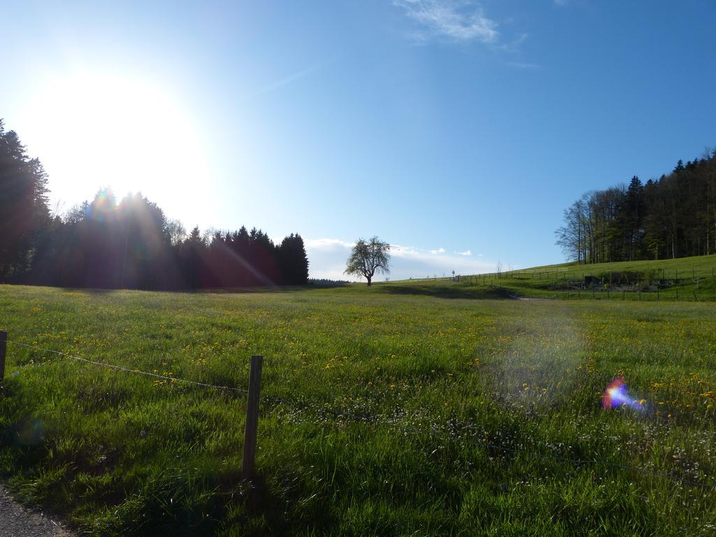 Отель Landgasthof Santisblick Abtwil Экстерьер фото